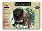 Black Deamon Caucasian Shepherd Dogs