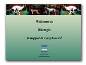Rhetsgis Whippets & Greyhound
