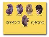 Poodle Kennel Romy's Choco