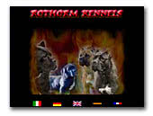 Rothorm Kennel Cane Corso