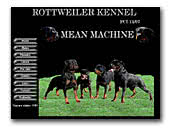 Mean Machine Rottweilers
