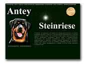 Rottweiler Antey Steinriese Kennel