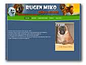 Chinese Crested Dogs Kennel Rugen Miko