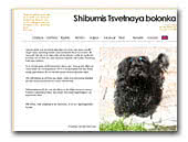 Shibumis