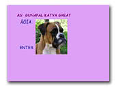 As'Gunapal Katya Great German Boxers