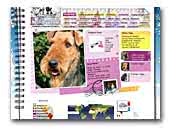 Samarcanda  Airedales and Standard Poodles