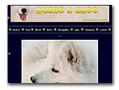 Samoyeds Iszta & Beam