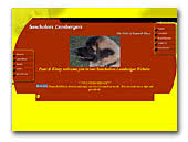 Sancholees Leonbergers