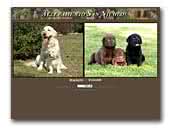 Allevamento San Nicolo Labrador and Golden Retrievers