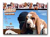 Basset Hounds Savbass Kennel