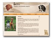 Braque d'Auvergne and Hungarian Vizsla Selsö Kennel