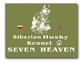Seven Heaven Kennel