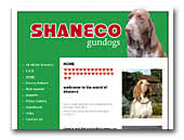 Shaneco gundogs