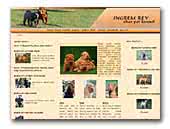 Ingrem Rey sharpei Kennel