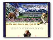 Shetland Sheepdog Kennel Fulfilled Dream