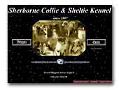 Sherborne Collie & Sheltie Kennel