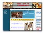 shiba-inu.spb.ru