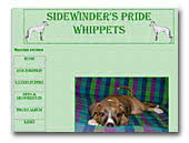 Sidewinder's Pride whippets kennel