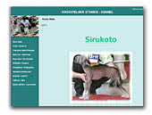 Chinese Crested Dogs Sirukoto ze Sádku