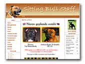 Staffordshire Bull Terriers Sitting Bull Staff