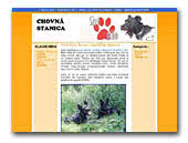 Sivé očko Giant Schnauzers
