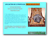 Les skyes de Cynopolis