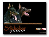 Dobermanns and Chihuahuas Kennel S'lichobor