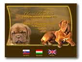 Dogue de Bordeaux Kennel z Kovacsovho Dvora