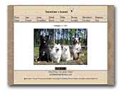 Australian Shepherds Kennel Snowtime´s