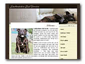 Mars' Gang Staffordshire Bull Terriers