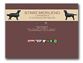 Starz Merilend Kennel Labrador Retrievers