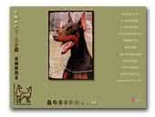 Smart Wood Hills Dobermann Kennel