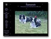 Tamarsh Chinese Crested Dogs