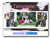 Tamzdane Great Danes