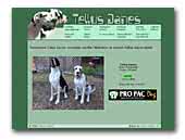 Danes
Kennel Breeders