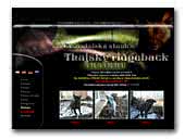 Thailand Ridgeback Dogs Thaikru