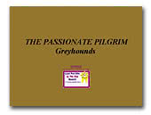 Greyhounds The Passionate Pilgrim
