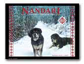 Nandari Tibetan Mastiffs