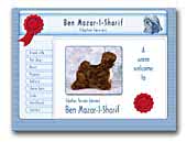 Ben Mazar-I-Sharif Kennel