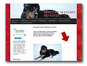 tibetanmastif.jimdo.com