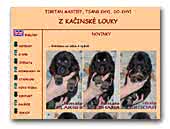 Tibetan Mastiffs kennel Kacinske Louky