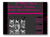 Poodles Tiffany and Cristia Thalia Marco Bohemica