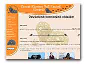 Tincses-Kincsem Puli Kennel