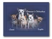 Chihuahuas Titmouse's Kennel