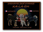 Ka-La-Em Tibetan Mastiffs kennel