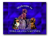 Toklarama's kennel