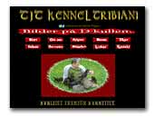 Kennel Tribiani German Hunting Terriers