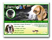 Beagles Uostinetojas