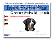 Greater Swiss Mountain Dog Kennel Swiss Star FCI