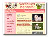 Versailles Havanese